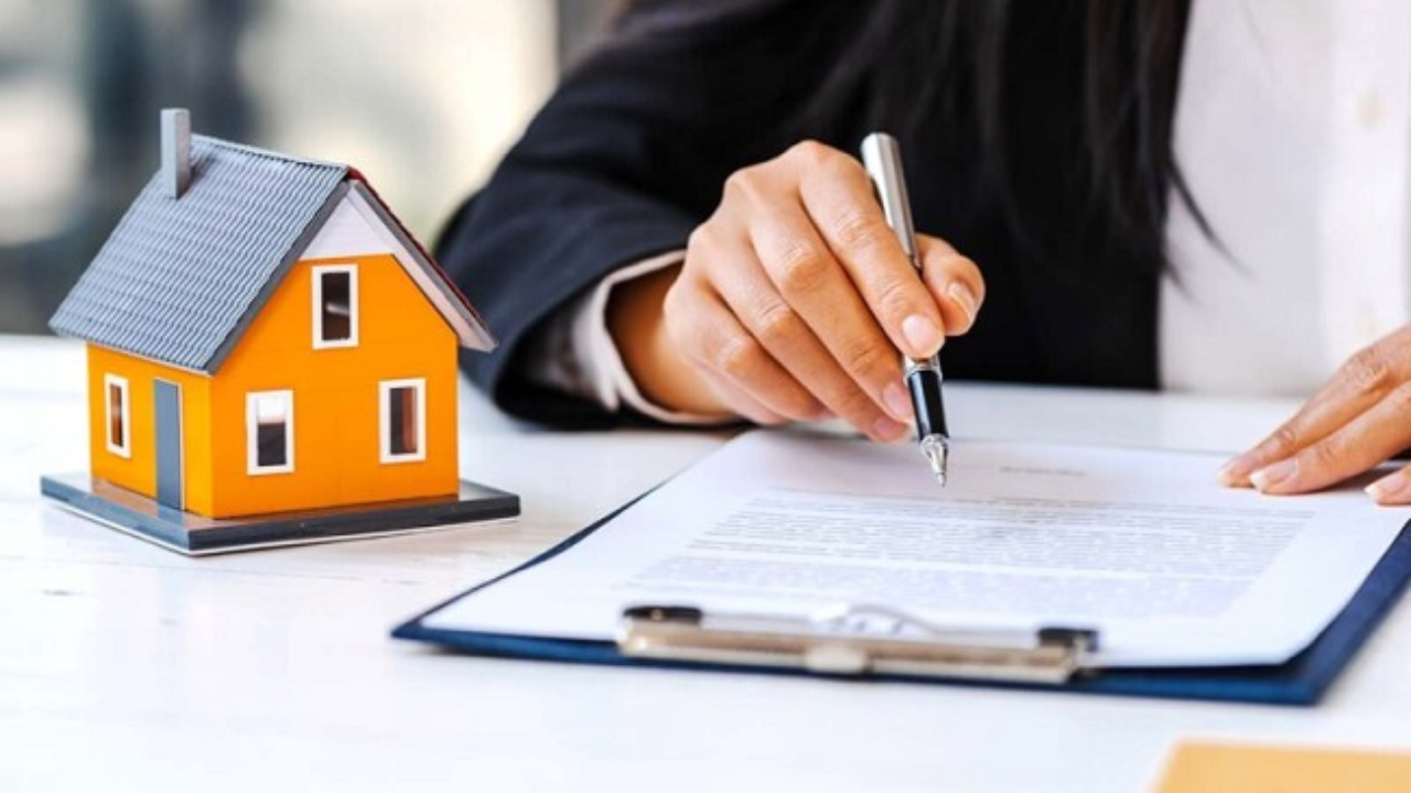 traceloans.com business loans